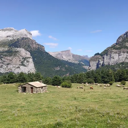 Casa Orensanz Апартаменты