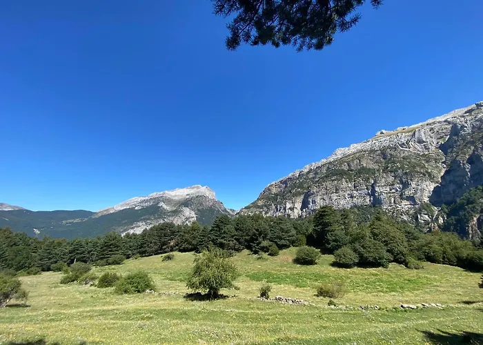 Apartment Casa Orensanz *